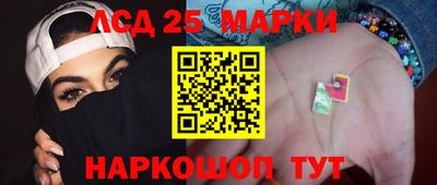Альфа ПВП Ставрополь