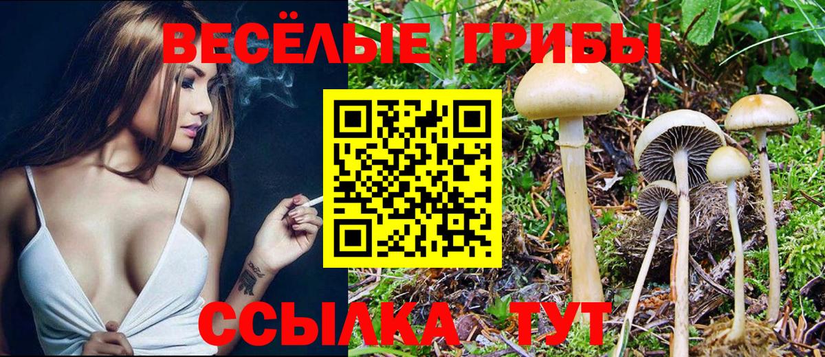 Соликамск  Галлюциногенные грибы GOLDEN TEACHER  Галлюциногенные грибы Psilocybine cubensis  Вход с VPN 