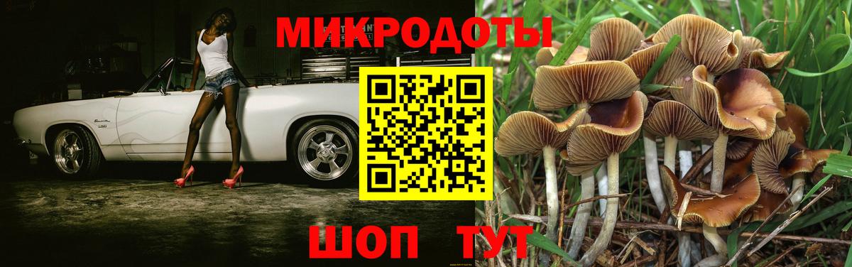 Псилоцибиновые грибы GOLDEN TEACHER Соликамск
